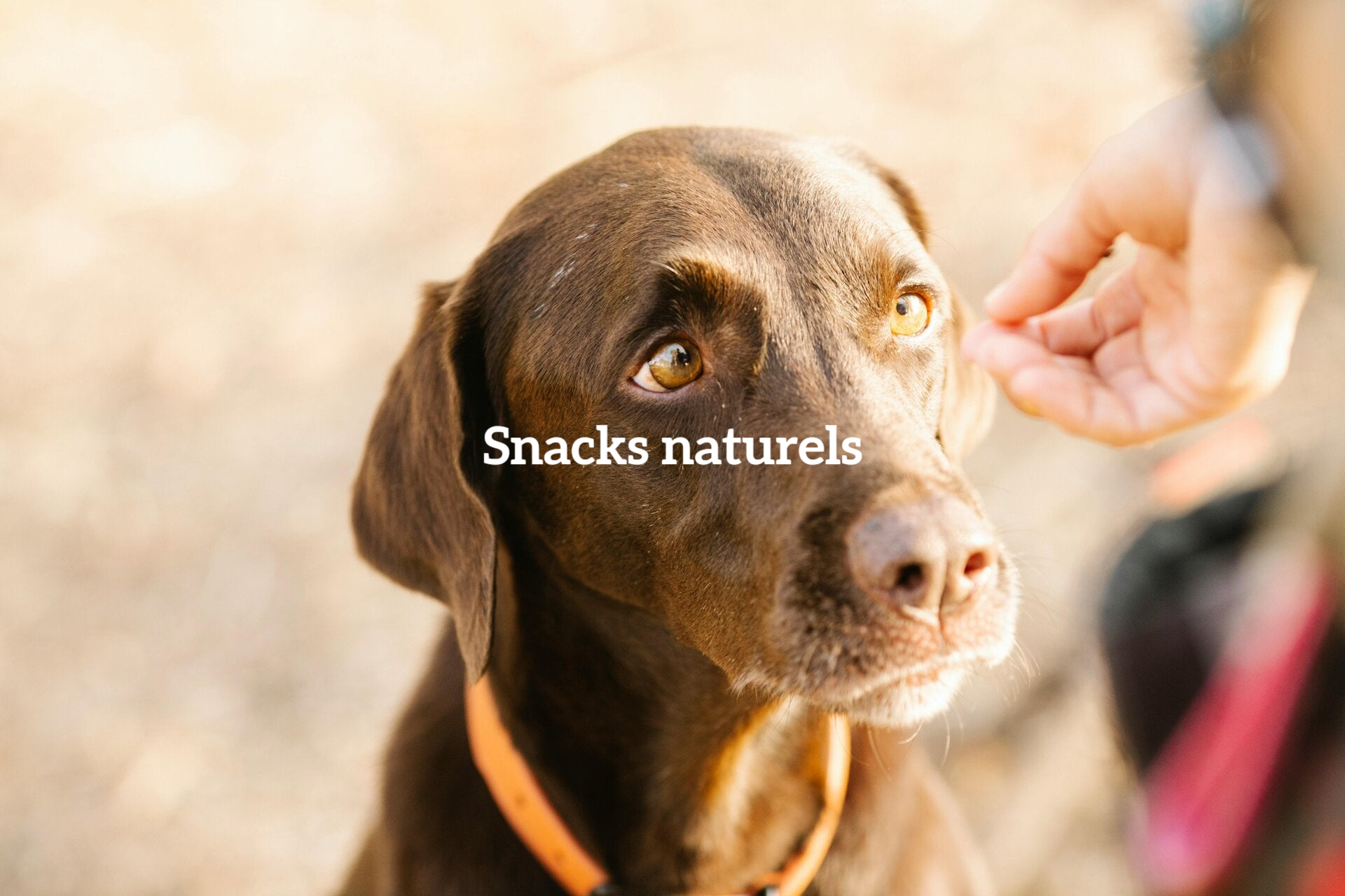 SNACKS NATURELS