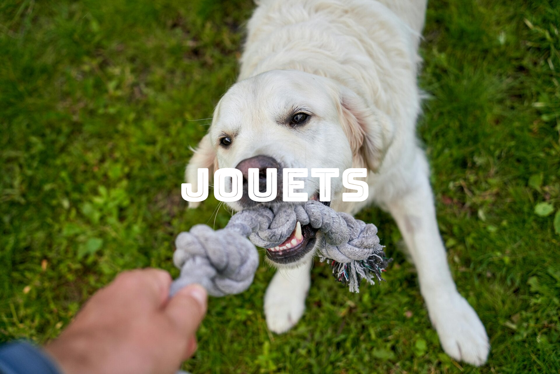 JOUETS NATURELS