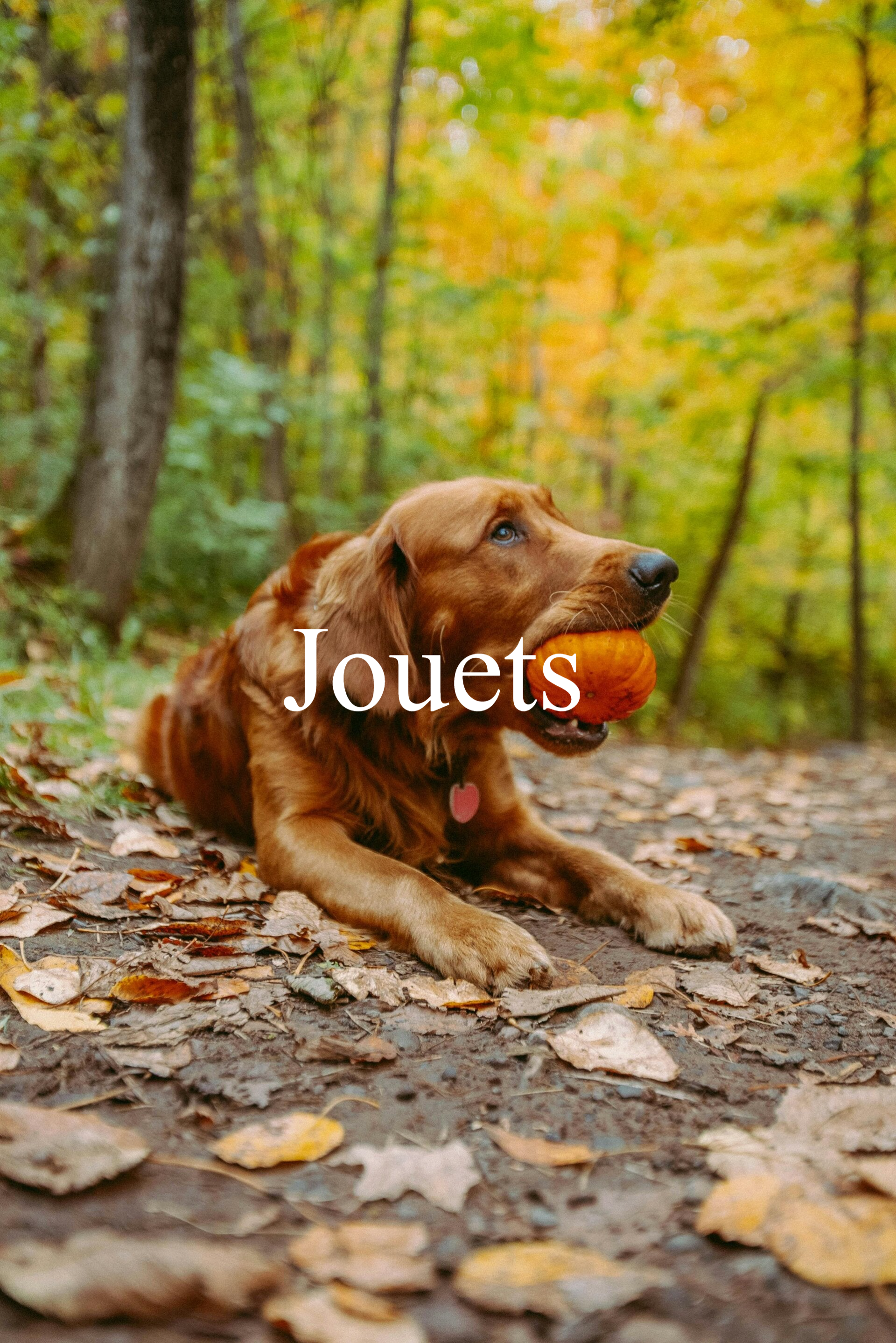 JOUETS NATURELS