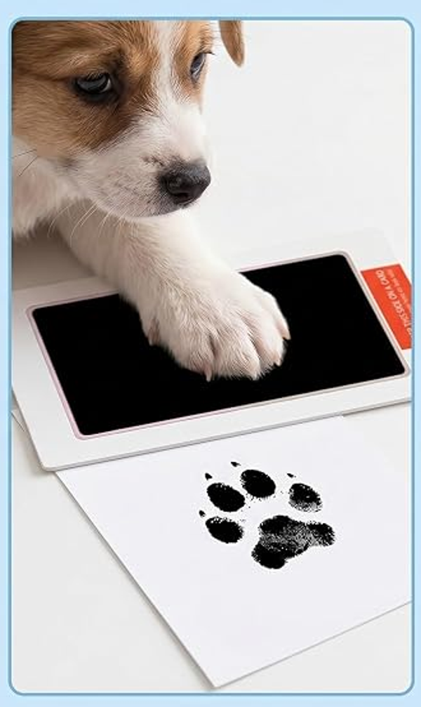Kit d’empreinte de patte de chien sans encre non toxique, souvenir d’empreinte de main sûr, cadeau parfait pour animal de compagnie