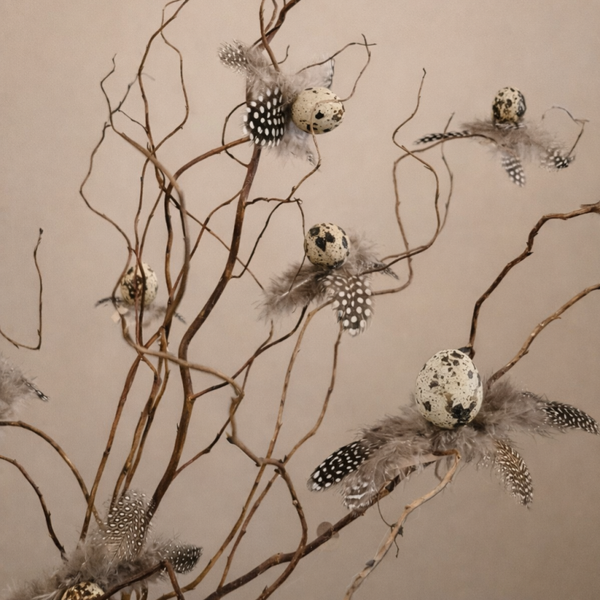 Decoratie | Paastakken | Kwarteleitjes | veren