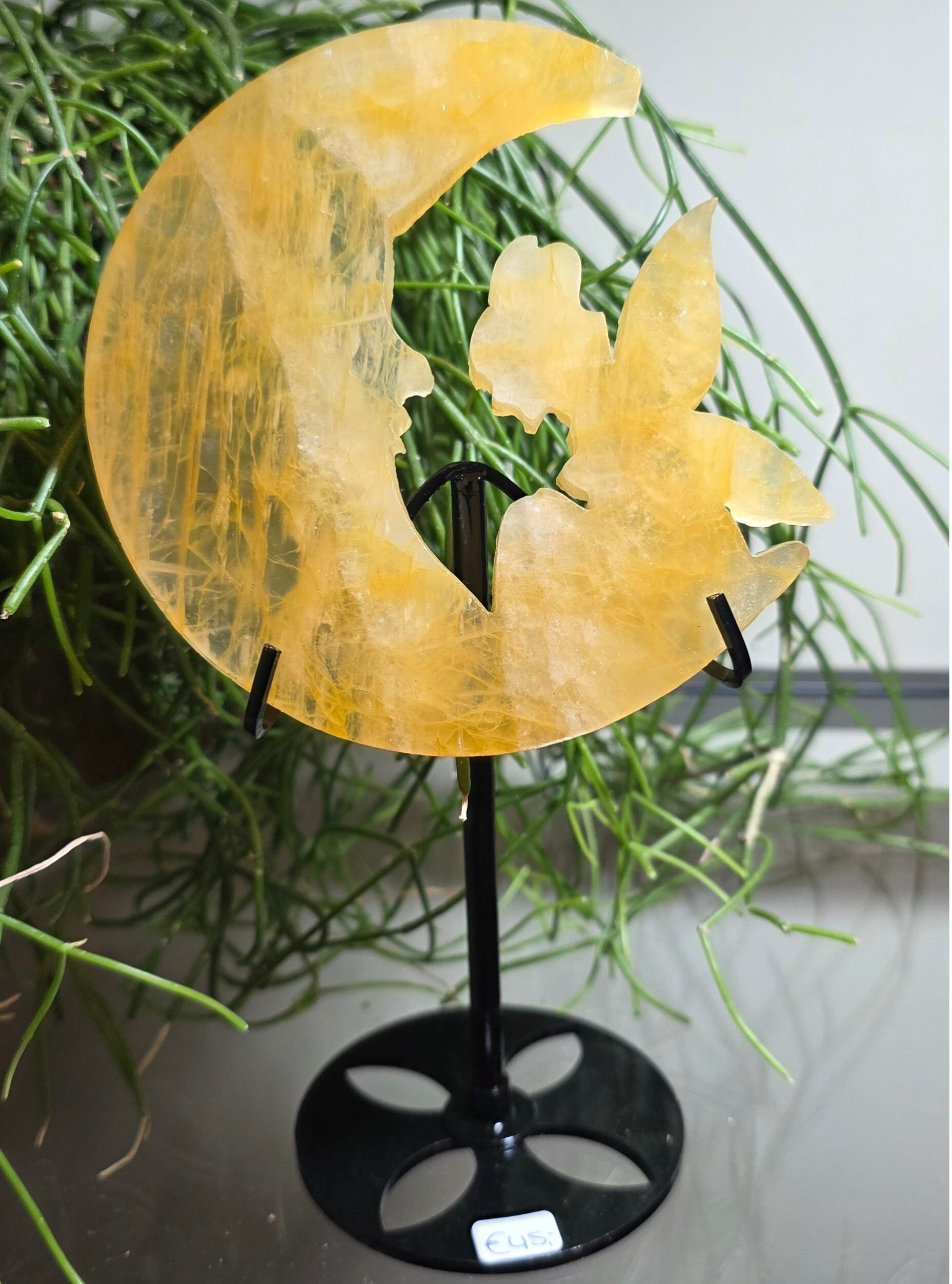 Maan met elf Limoniet