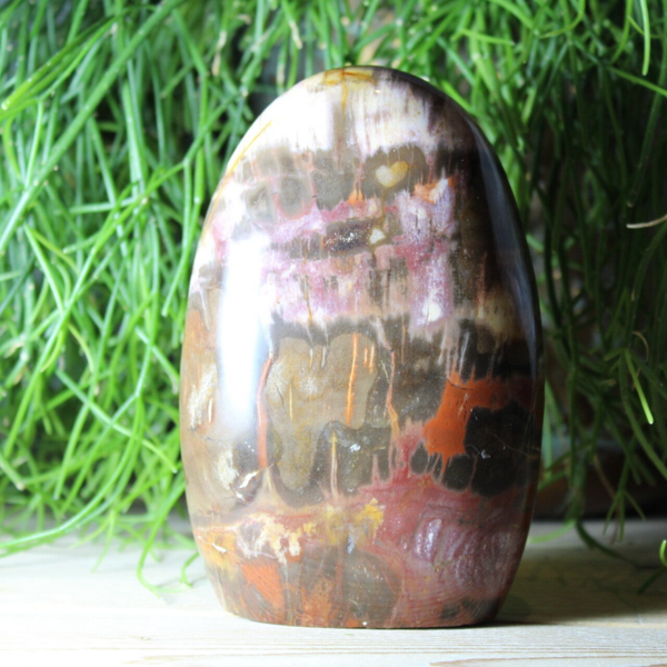 Gedenksteen Versteend Hout