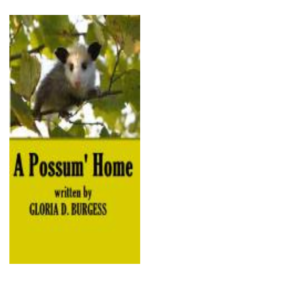 A Possum' Home