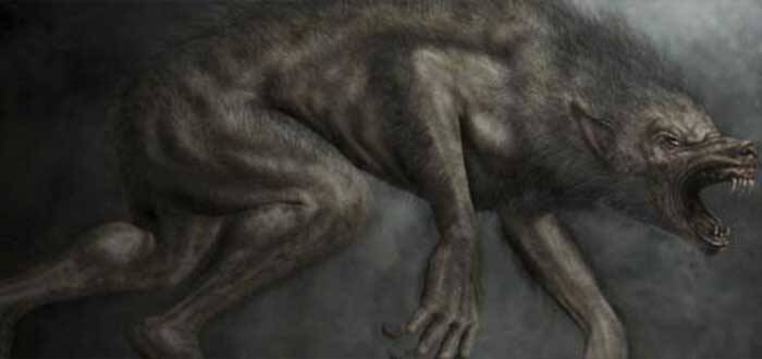 iMAGEN EXTRAÍDA DE SUERCURIOSO,COM