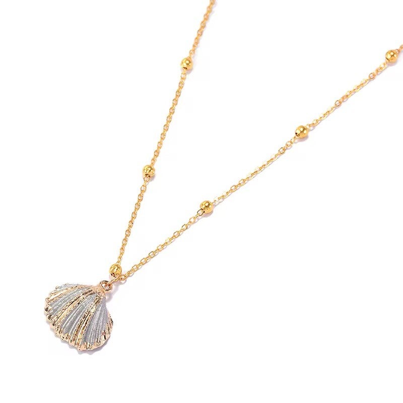 Seashell