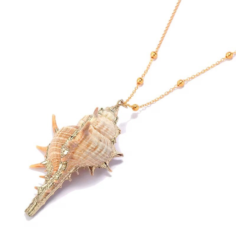 Seashell