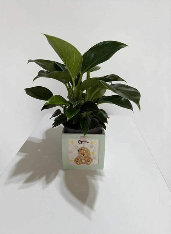 Little Sprout Baby Planter