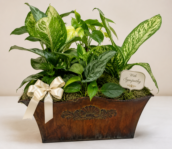 Peaceful Remembrance Dish Garden