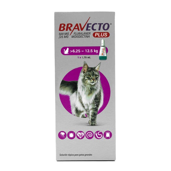 Bravecto Plus para gatos de 6.25-12.5 kg. Desparasitante externo e interno