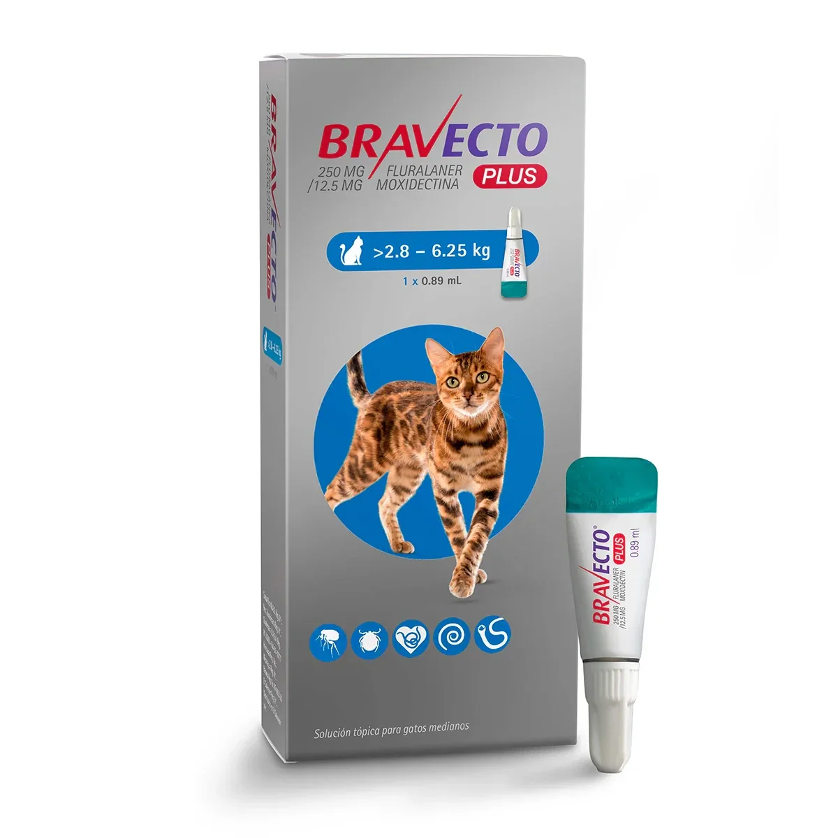 Bravecto Plus para gatos de 2.8-6.25 kg. Desparasitante externo e interno