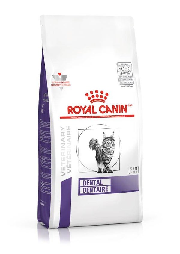Royal Canin Dental Dry Feline