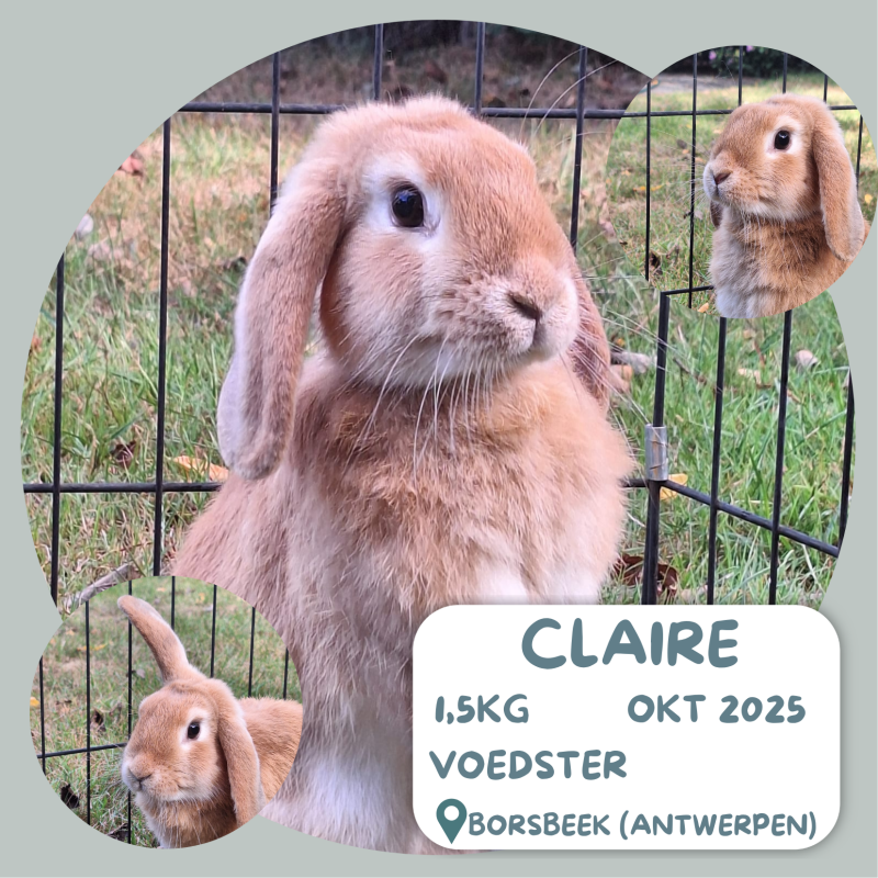 Claire