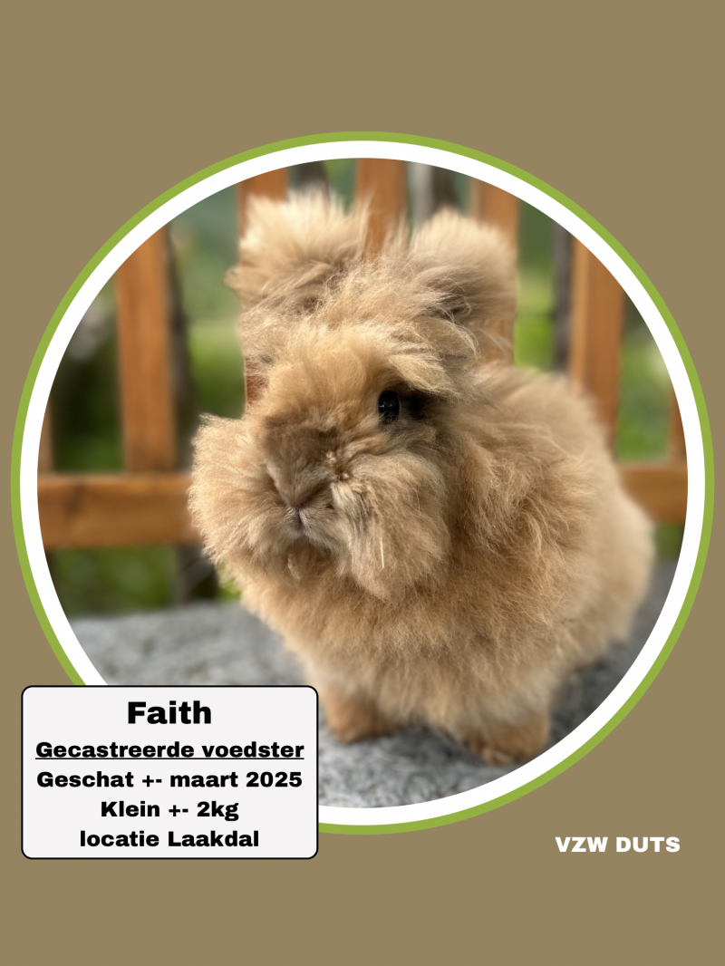 cookie-klein-2kg-standard-mlgmf3.png