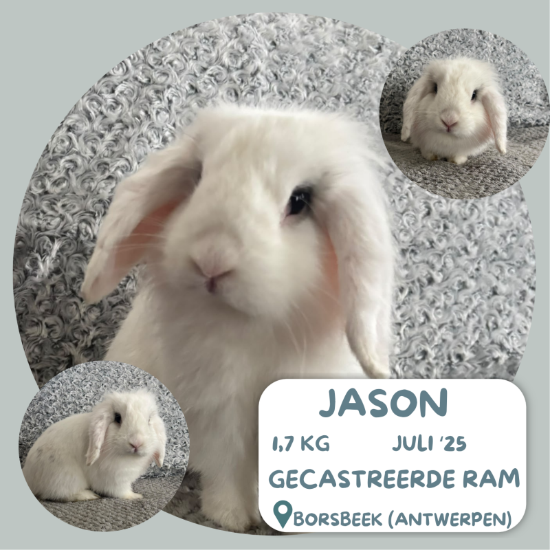 Jason