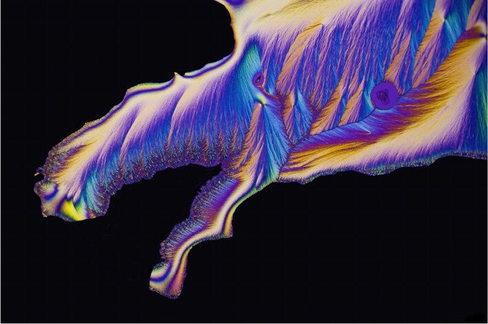 09. Gen Gamle Ulv 1.jpg