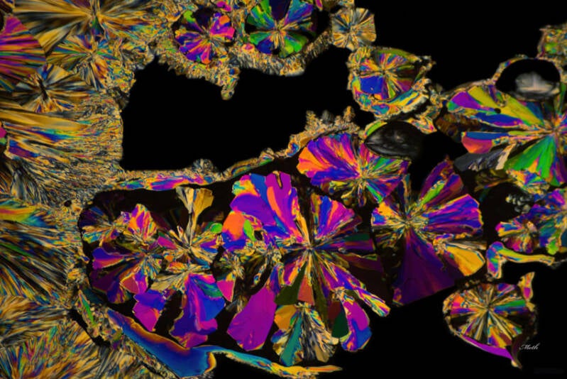 Tuse Næs - sådan da (Vitamin-c)