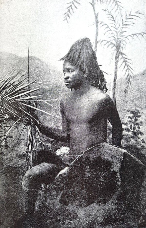 Muller, Hendrik P.N. - THE COUNTRY AND PEOPLE BETWEEN THE ZAMBESI AND THE LIMPOPO (1894)