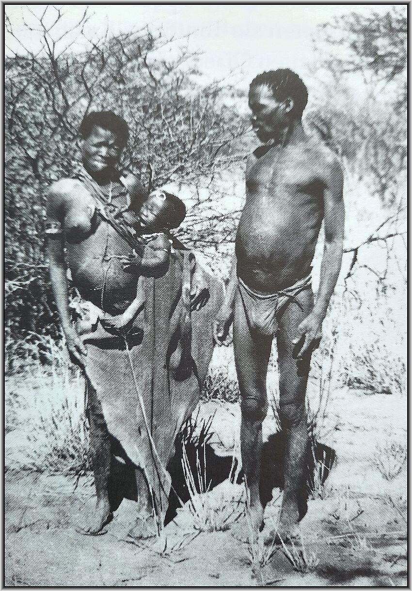 Schatz, Ilse - TSUMEB IN OTAVI MINING & RAILWAY COMPANY'S TIME (1997)