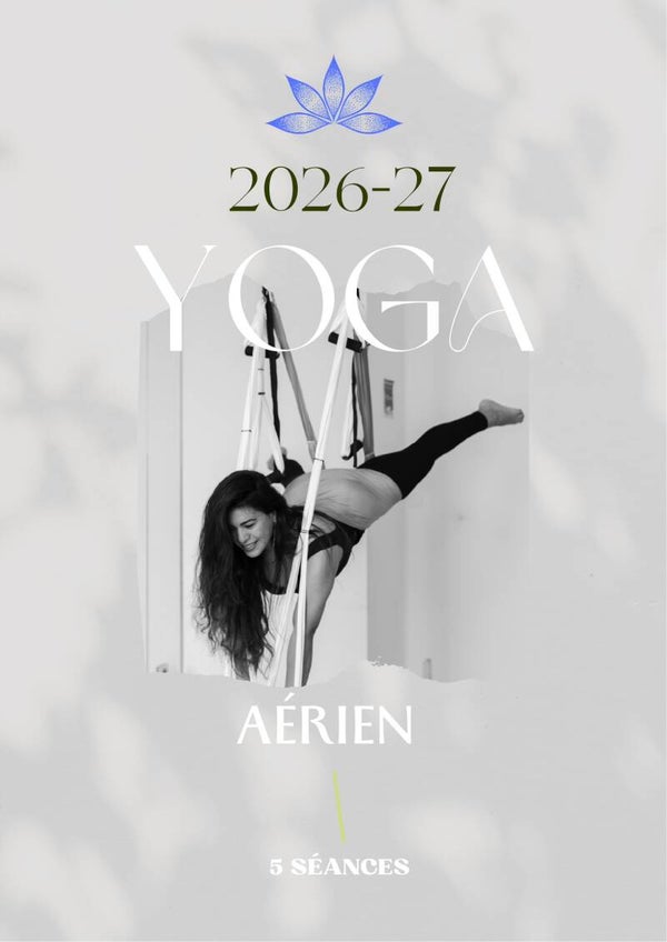 Yoga Aérien carte de 5