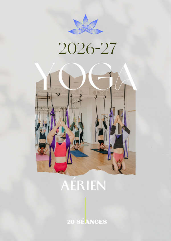 Yoga Aérien carte de 20