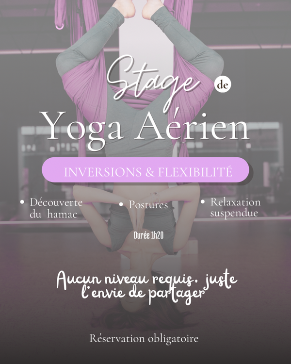 Stage Yoga Aérien