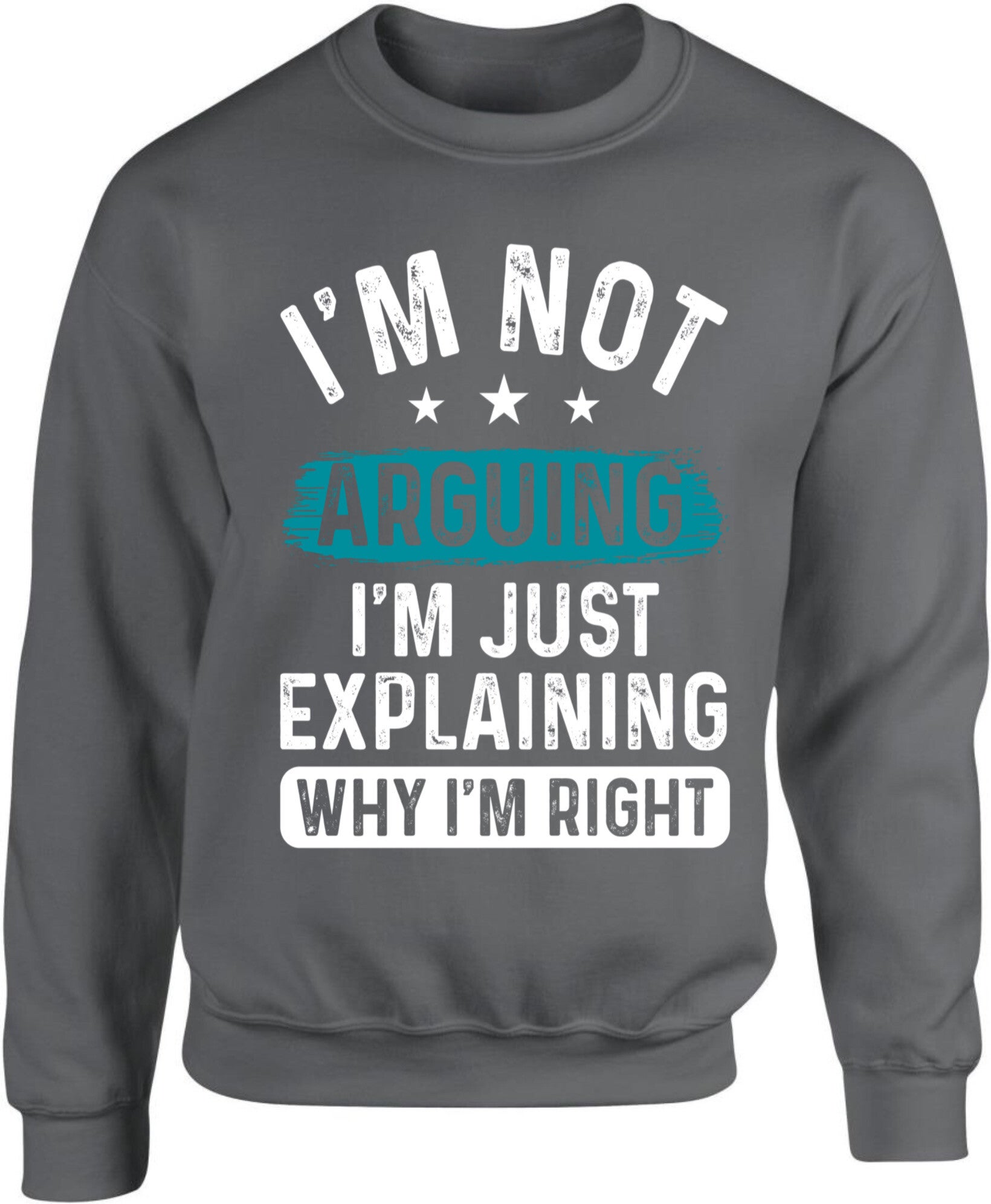 Sweater “I’m not arguing”