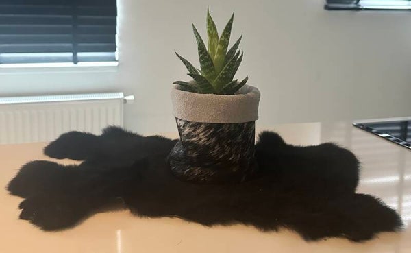 Plantenzakje van koeienhuid groot