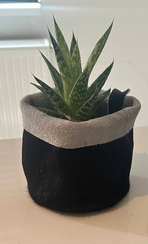 Plantenzakje van koeienhuid groot