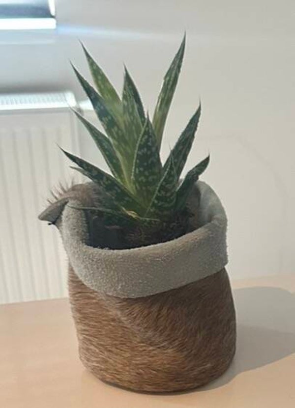 Plantenzakje van koeienhuid groot