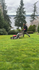 lynwood , seattle. landscaping &amp; Maintenance