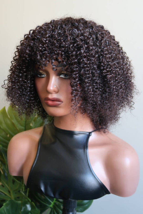 Bangs Human Hair Afro Kinky Curly Wig
