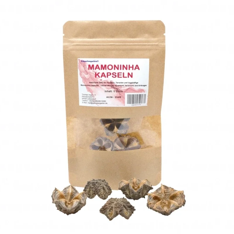 Amoninha-capsules | 5 stukken