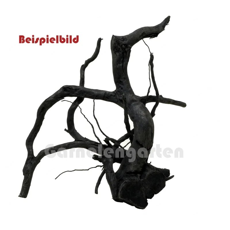 Black Moor Root - Spiderwood M/L - geen selectie mogelijk