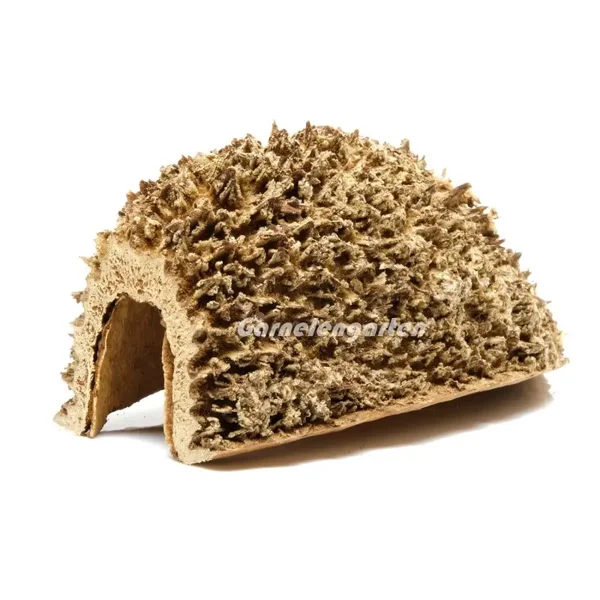 Bolsa de Pastor-grot