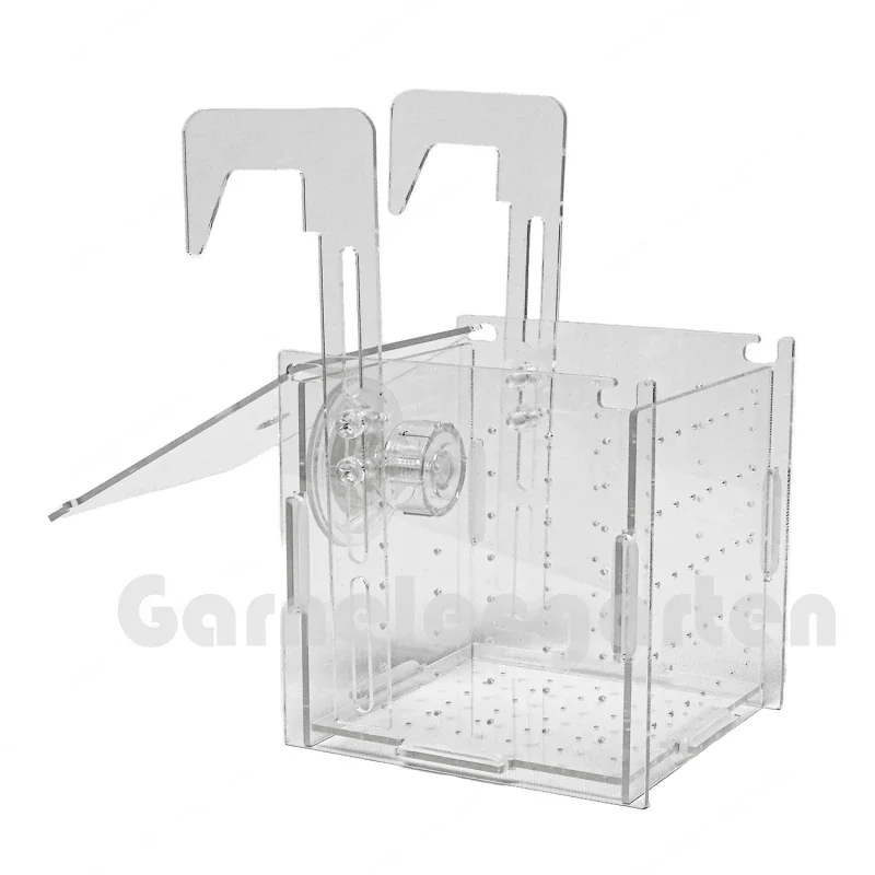 Breeding Box | 10 x 10 x 10