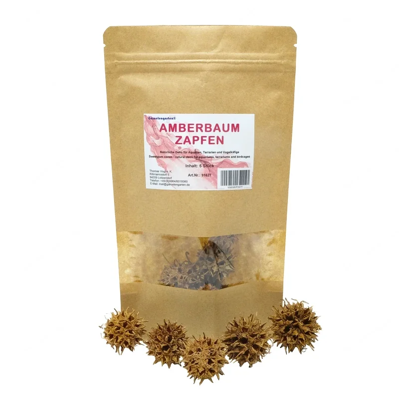Amberboom kegels - 5 Stück Liquidambar styraciflua
