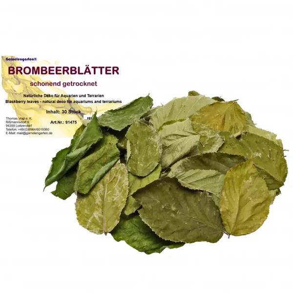 Garnelengarten® Braamblaadjes 30 blaadjes