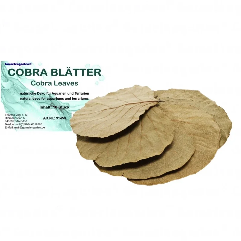 Garnelengarten® Cobra Bladeren 10 Stuks