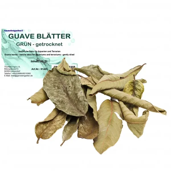 Garnelengarten® Guave Bladeren groen gerold 10 Stuks