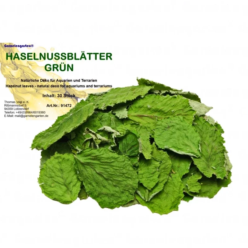 Garnelengarten® Hazelnootbladeren Groen 30 Stukjes