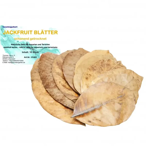 Garnelengarten® jackfruitbladeren 10 blaadjes