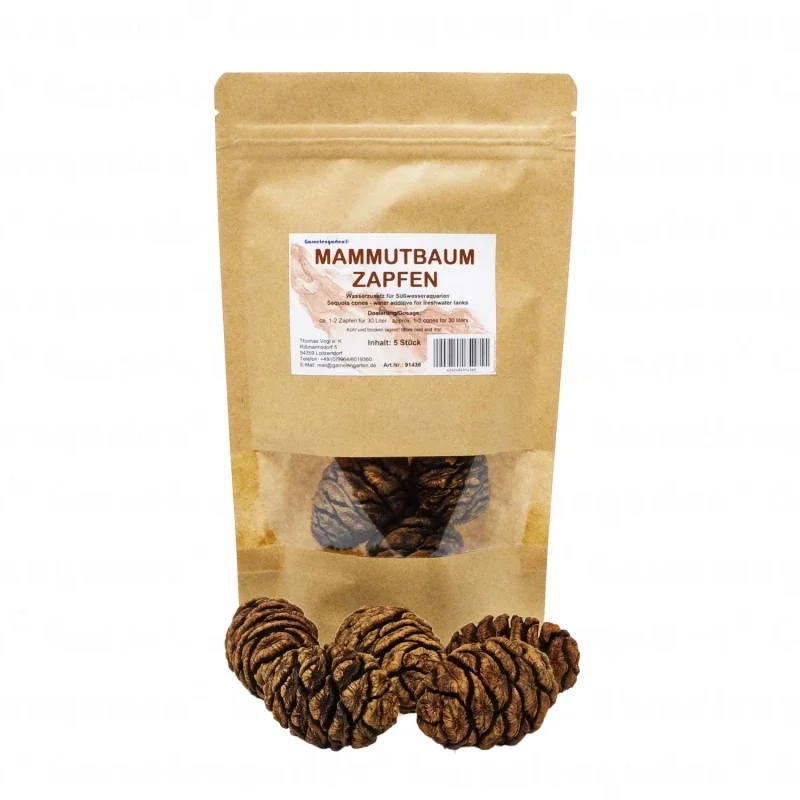 Sequoia-hoorntjes - 5 stukjes