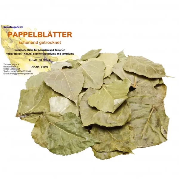 Garnelengarten® Populier bladeren 30 Stuks