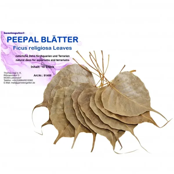 Garnelengarten® Peepal-bladeren 10 stuks