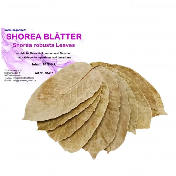 Garnelengarten® Shorea bladeren 10 St