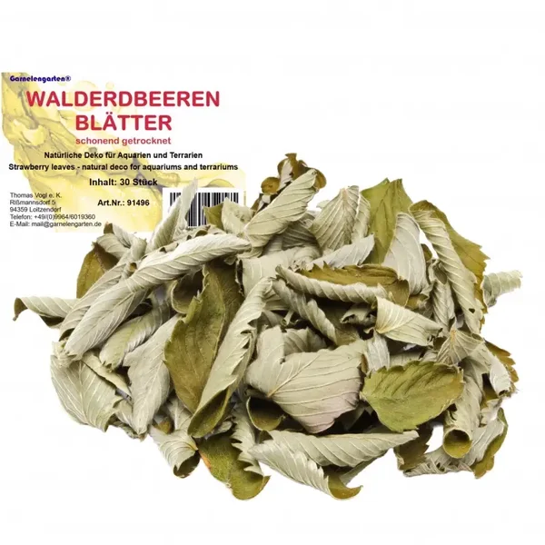 Garnelengarten® Wilde Aardbeienbladeren 30 St