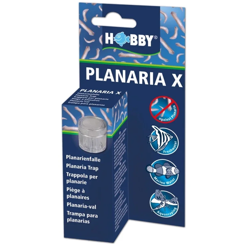 Hobby Planaria X | Planaire val