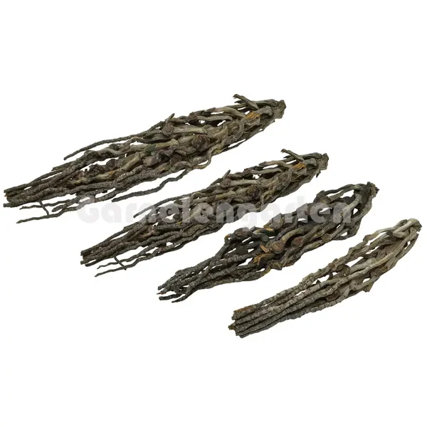 Kokospluim | 4 maten