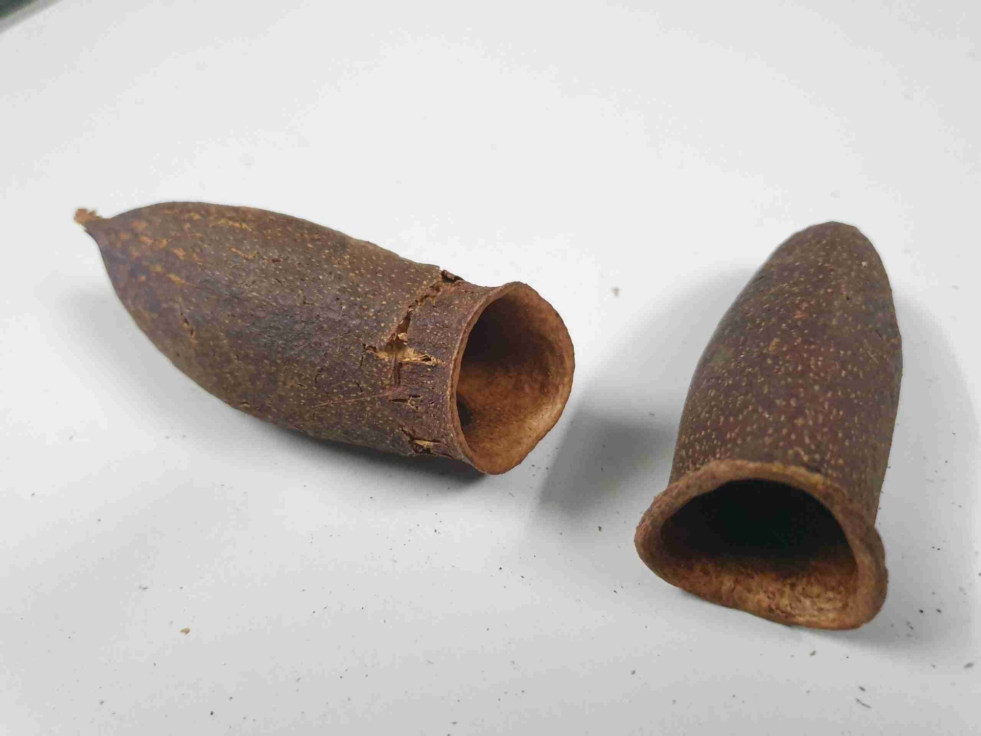 Sero Fino Pod - Hoorncapsule